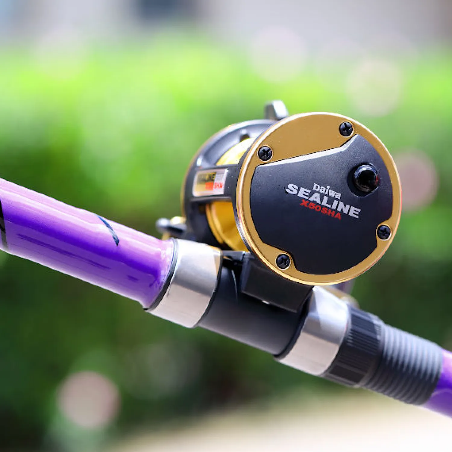 Daiwa Conventional Reels- Sealine-X SHA