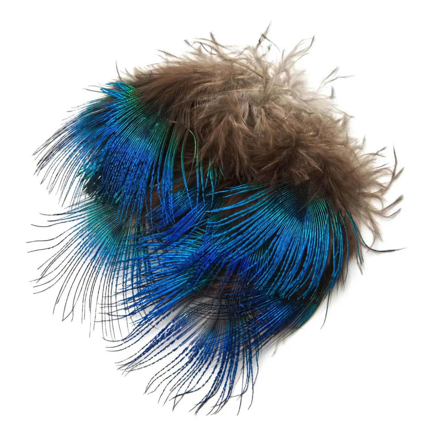 Hareline Hackle & Feathers- Blue Peacock Feathers