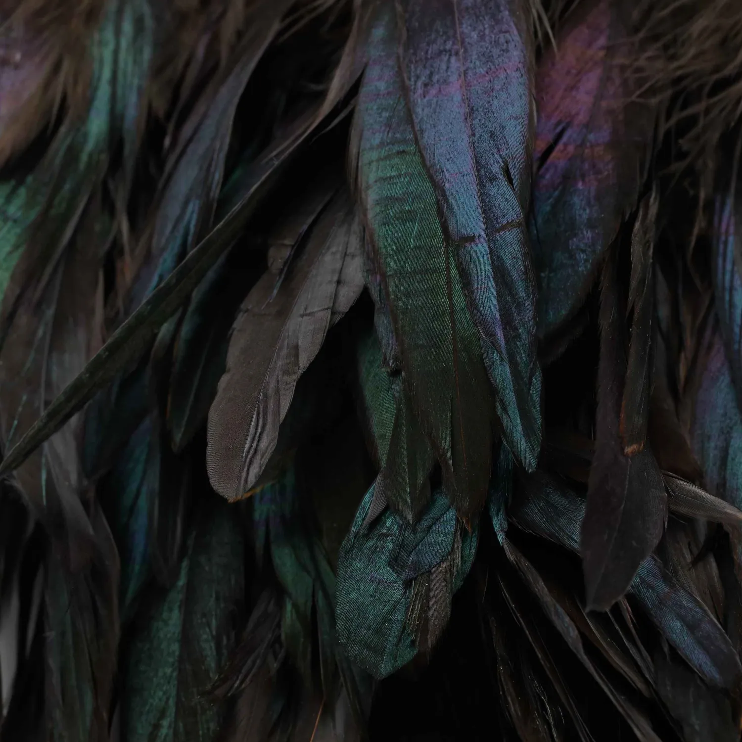 Hareline Hackle & Feathers- Iridescent Black Schlappen