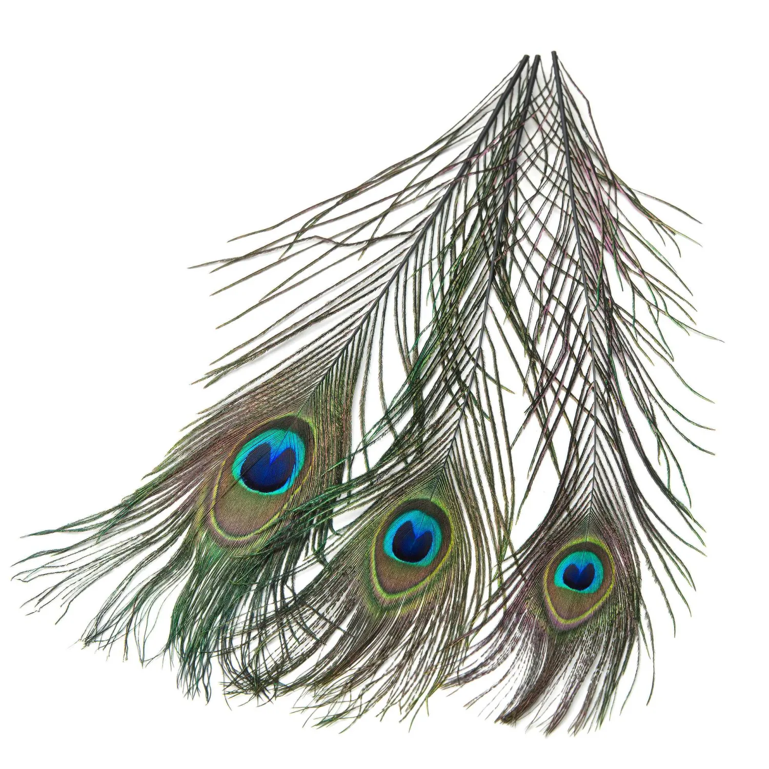 Hareline Hackle & Feathers- Peacock Eyed Sticks